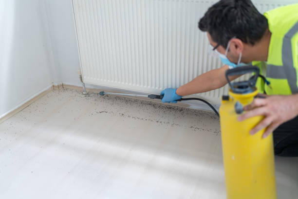 Best Pest Control for Homes  in Orange, CA